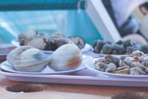 ホンビノス貝の売ってる場所は？イオンやスーパーなど市販ではどこで買える？